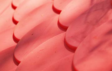 Vachelich plastic roof costs