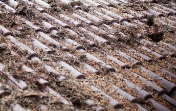 Vachelich roof cleaning companies