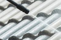 rated Vachelich roof cleaning companies