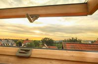 rated Vachelich roof window companies